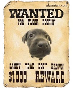 How do you create a wanted poster for a school project?